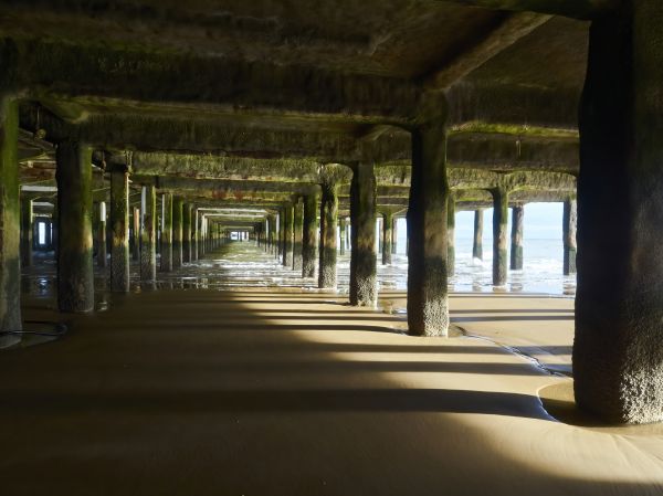 Pier And Beam Leveling in Eugene